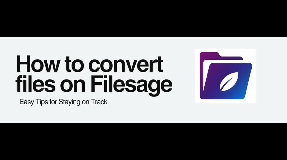 How to perform file conversion on Filesage